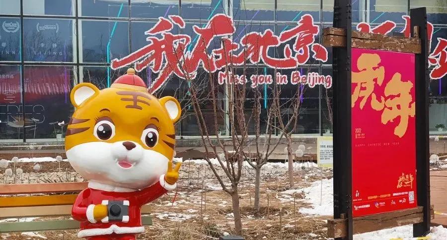 靈鵲報(bào)喜，展翅拍翼，世間幸福來(lái)尋覓打一最佳精準(zhǔn)生肖,警惕虛假宣傳,專家解答解釋落實(shí)